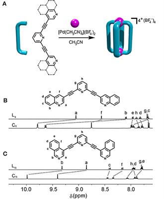 Anticancer Activity and Cisplatin Binding Ability of Bis-Quinoline and Bis-Isoquinoline Derived [Pd2L4]4+ Metallosupramolecular Cages